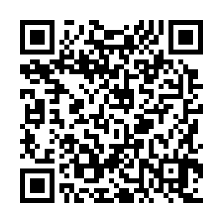 QR code for VNX384