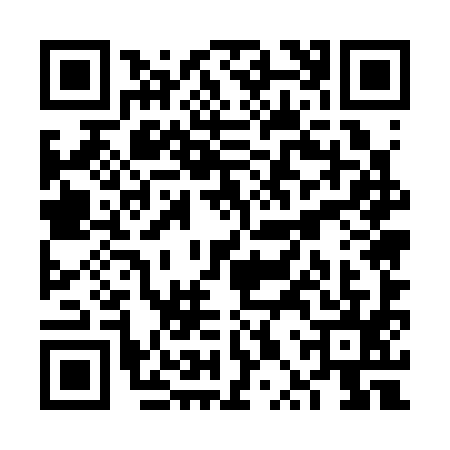 QR code for VPU3953