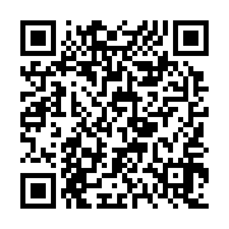 QR code for VQL317