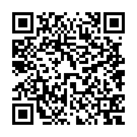 QR code for VQN0319
