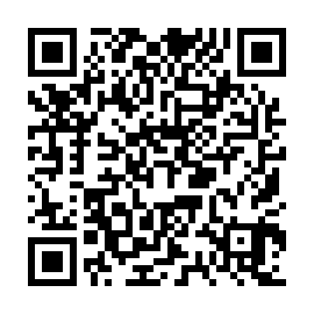 QR code for VSI101