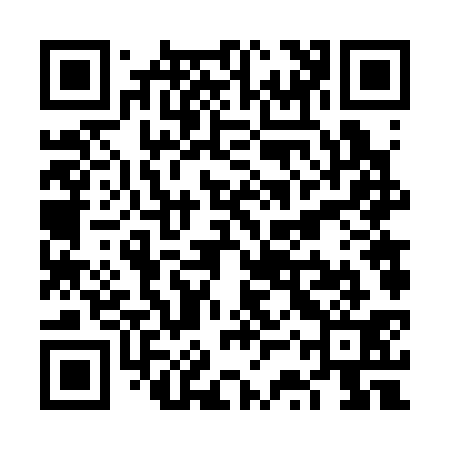 QR code for VSV331