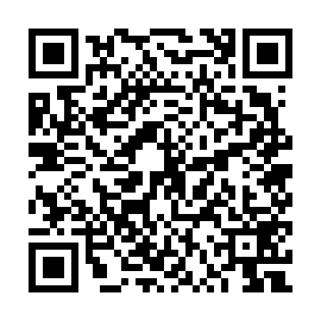 QR code for VVW6593