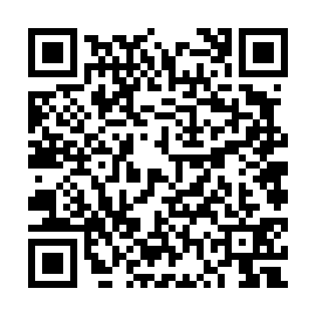 QR code for VWV4313