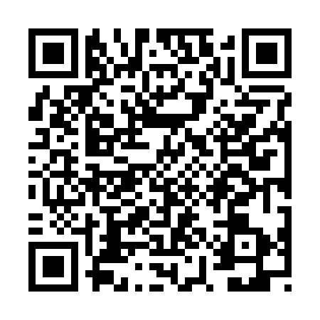 QR code for VYN2738