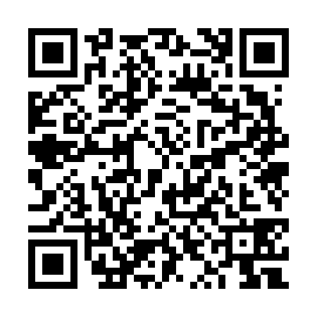 QR code for VYO6383