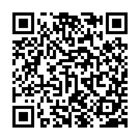QR code for VYS248
