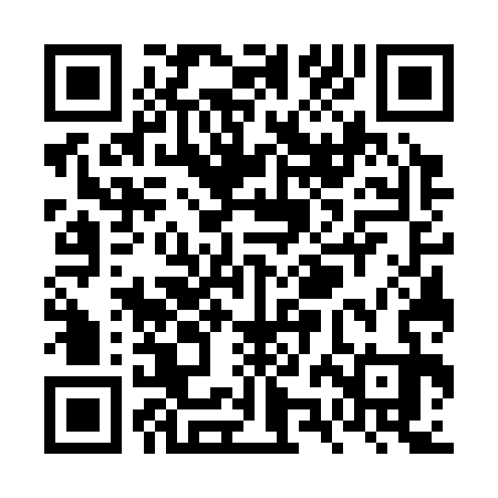 QR code for VZG333