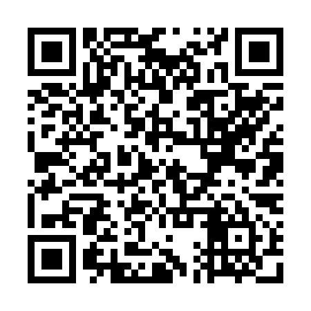 QR code for WAV295