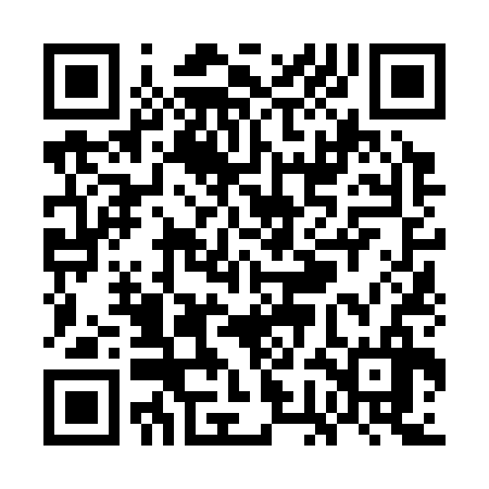 QR code for WGN336
