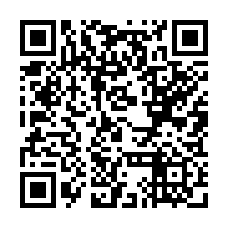 QR code for WIO339