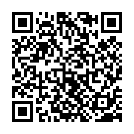 QR code for WKO411