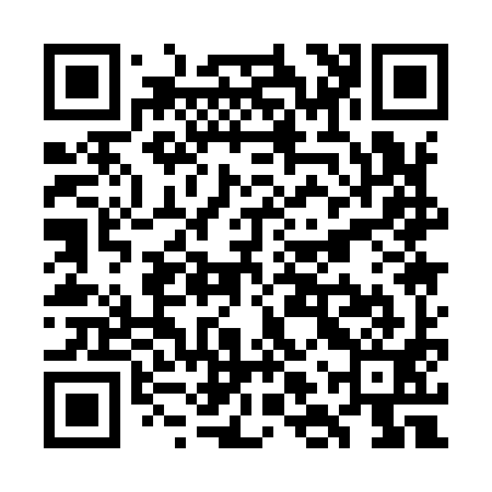 QR code for WLQ991