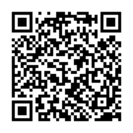QR code for WLU493