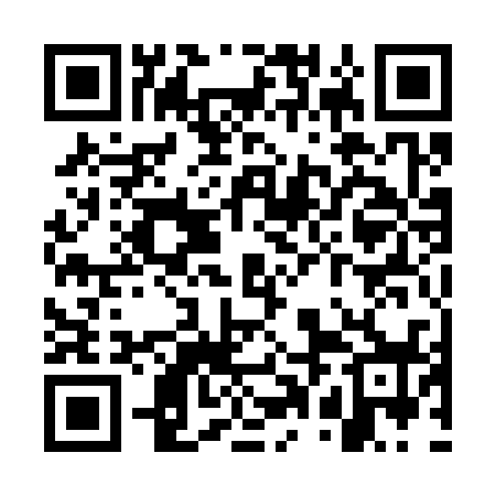 QR code for WPA338