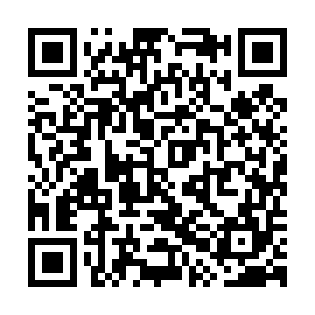 QR code for WPI454