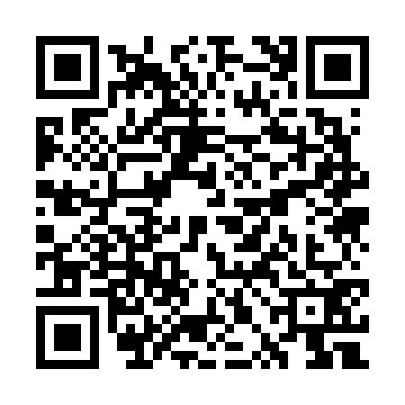 QR code for WPK6729