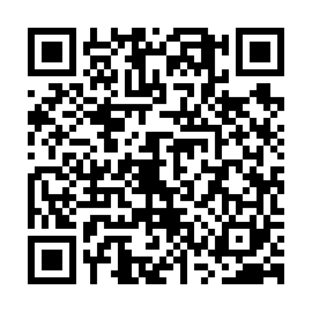 QR code for WSY6613