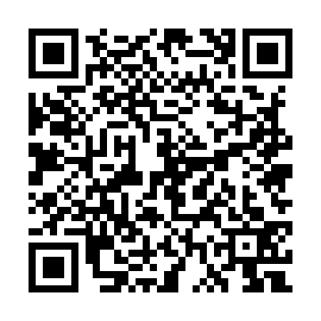 QR code for WWU9338