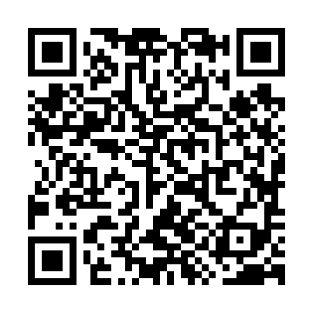 QR code for WYJ699