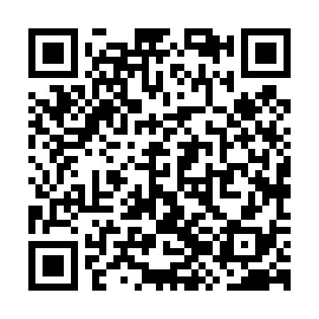 QR code for WZH438