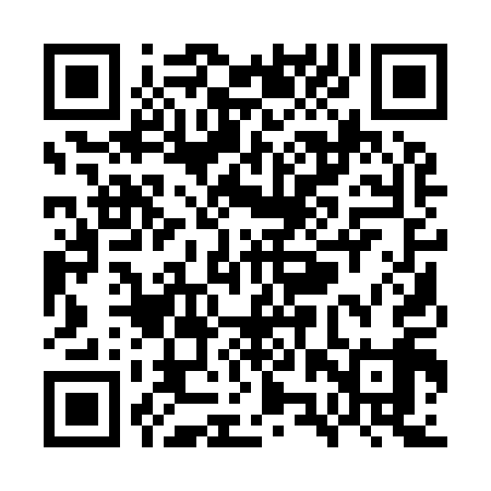 QR code for WZQ919