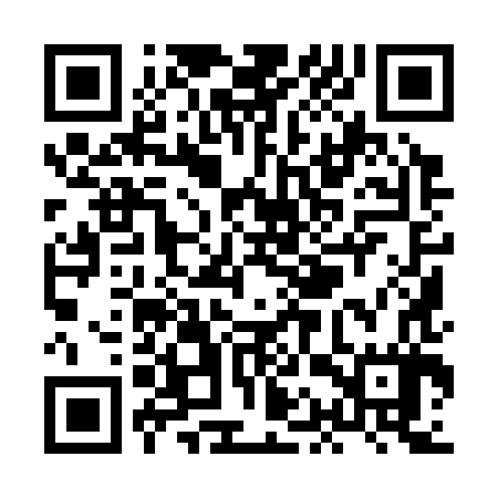 QR code for XAY387