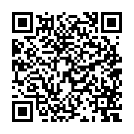 QR code for XBS3876