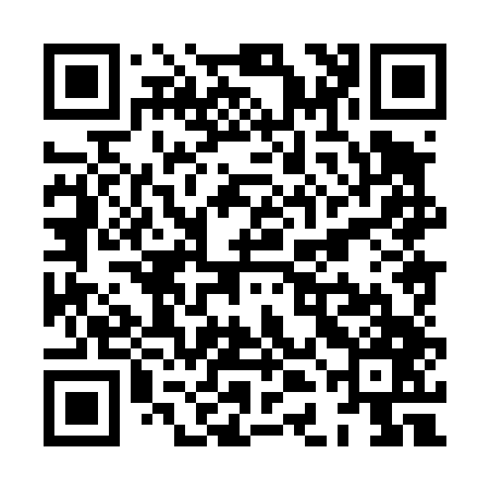 QR code for XDH447