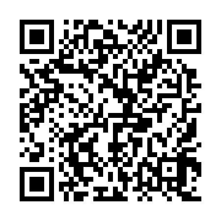 QR code for XDI318