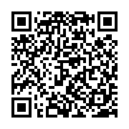 QR code for XDM595