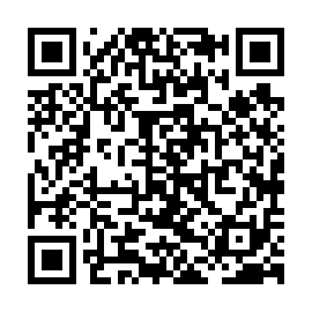 QR code for XDX611