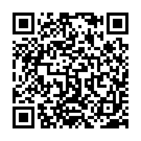 QR code for XEF393