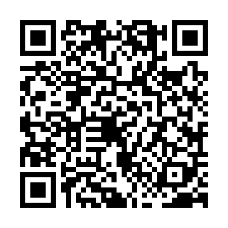 QR code for XFZ3095