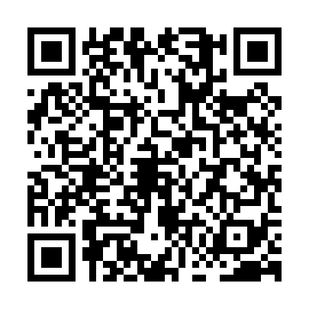 QR code for XGI0795