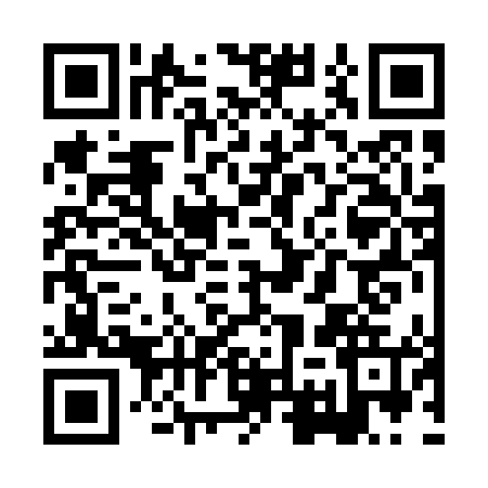 QR code for XGR0459