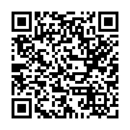 QR code for XJD381