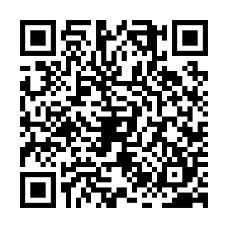 QR code for XJV2046