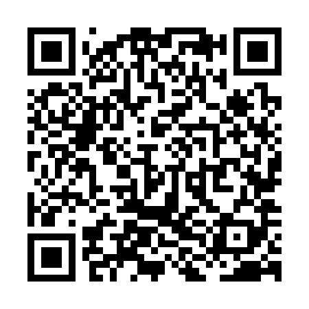 QR code for XLN389