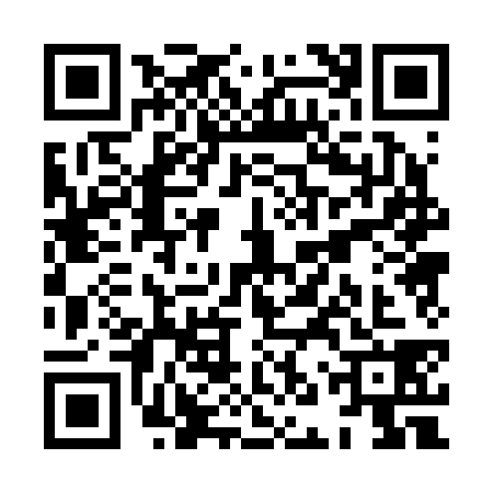 QR code for XNP2385