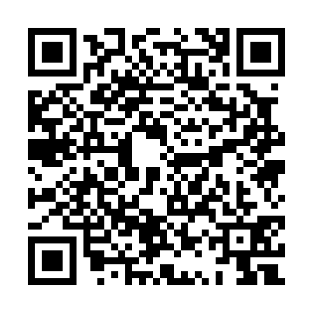 QR code for XQQ0316
