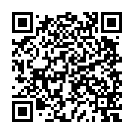 QR code for XSR499