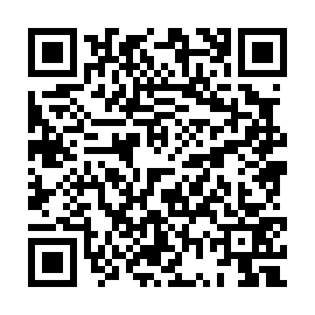 QR code for XWX0733