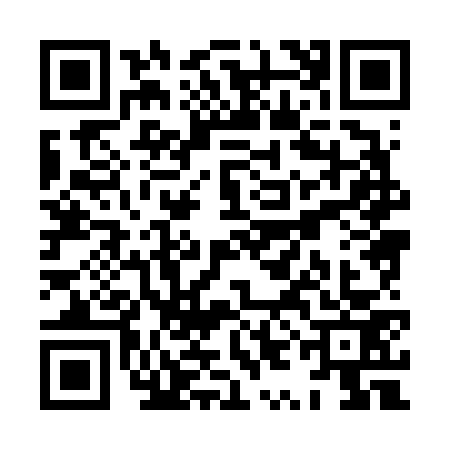 QR code for XYH6738