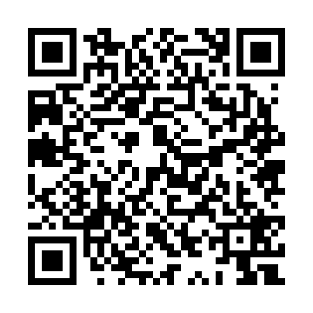 QR code for XYZ2295