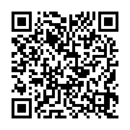 QR code for XZI933