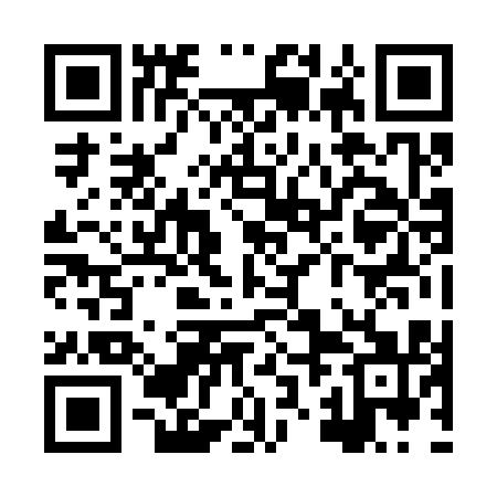QR code for XZJ311