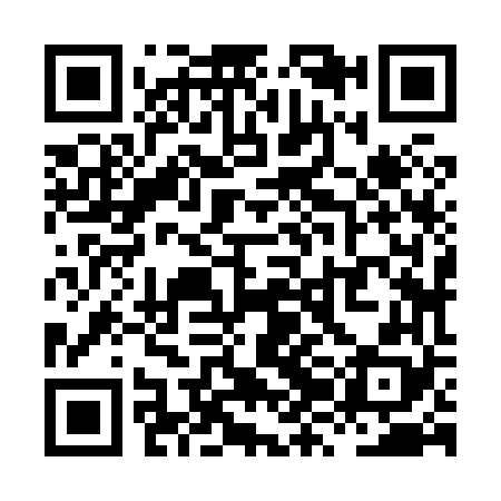 QR code for XZJ868
