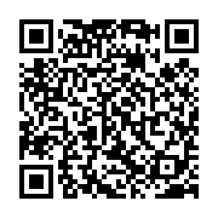 QR code for XZY499