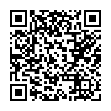 QR code for YAK311